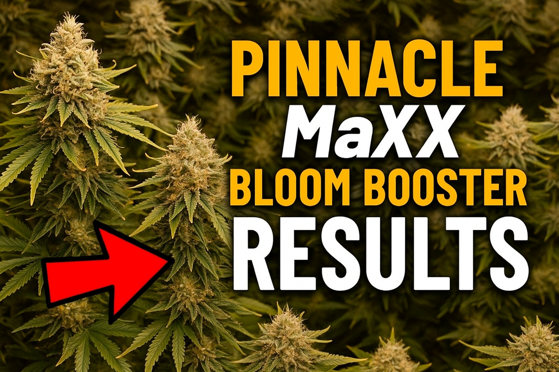 Top 10 Reasons to Use Pinnacle MaXX™ in Your Garden or Grow Room